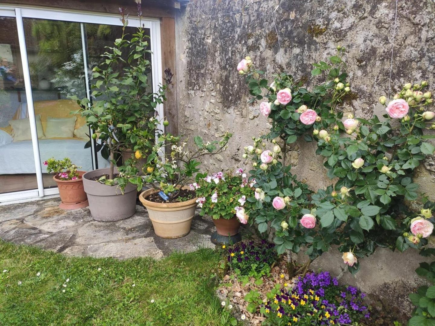 Le Relais De L'Ormeau - Charmant Gite Pour 4 Pers. Lussault-sur-Loire Buitenkant foto